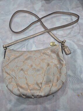 Carterista coach nueva